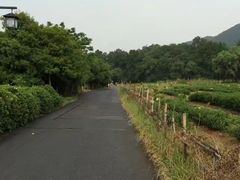 -钱江新城灯光秀