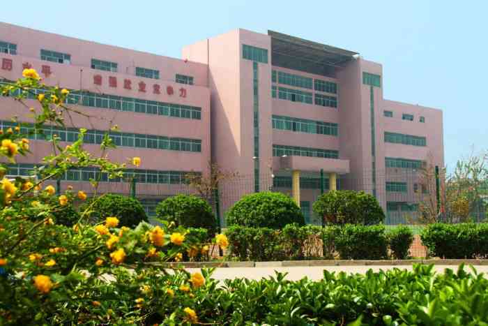 经济学院(经济学院校区)-"经济学院要改名了,石家庄经济学院变身为河.