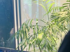 -风渡嘉荷·美式西餐厅·招牌汉堡·烤鸡·牛排(西三旗金隅店)