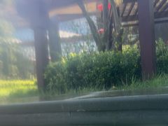 -白桦林温泉谷