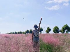 -映月湖中央公园