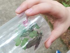 -田心森林公园
