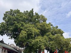 -悦城龙母祖庙