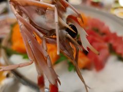 -和彩放题(渔阳店)