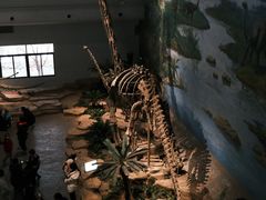 -自贡恐龙博物馆