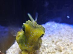-上海海洋水族馆