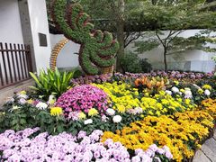 -汇龙潭