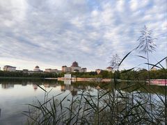 -莲花池公园