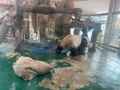 -成都动物园