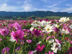 -新疆那拉提国家旅游度假区