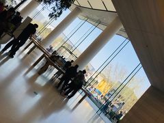 -Apple零售店(济南恒隆广场店)