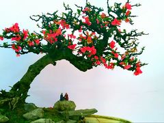 -叁口煮老火锅(东升店)