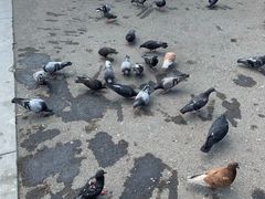 -宪法广场