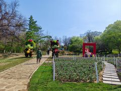 -沈阳植物园