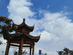 -黄埔油麻山森林公园