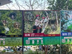 -芦仙山景区-飞越丛林探险乐园