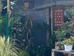 -龙大花卉苗木市场