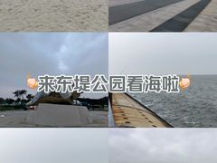 -东堤公园