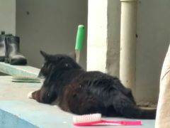 -南京工程学院(江宁校区)