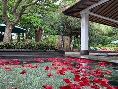 -厦门日月谷温泉渡假村