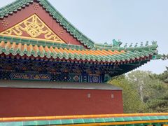 -颐和园