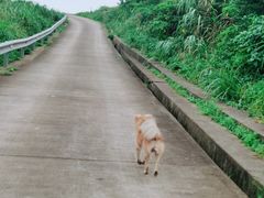 -阿军排档·烧烤