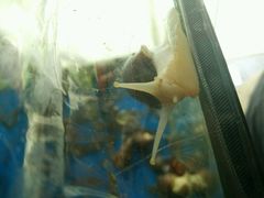 android_upload_pic-日食记精菜馆(建邺万达店)