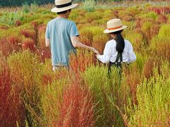 -汉长安城未央宫国家考古遗址公园