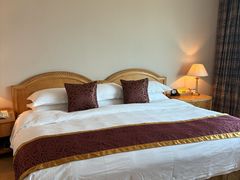 -南京维景国际大酒店(南京博物院店)