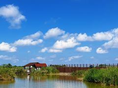 -盐城丹顶鹤湿地生态旅游区