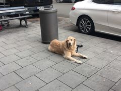-谷物市场