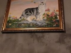 -猫色咖啡·猫咖