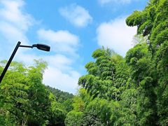 -宝岩生态观光园
