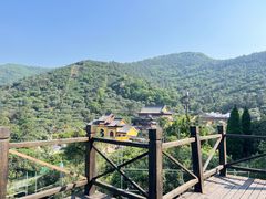 -树山生态村