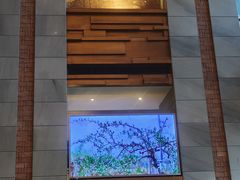 -浅深Cheersum(曹杨店)