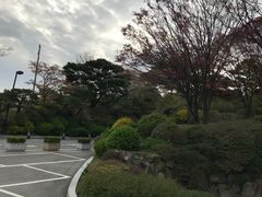 -新罗免税店(首尔总店)