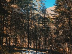 -硗碛藏寨·神木垒景区