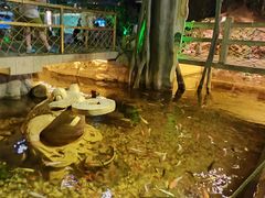 -洛阳龙门海洋馆