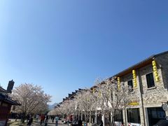 -紫阳古街