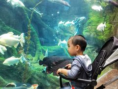 -波塞冬旅游度假区