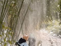 -郑州植物园