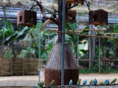 -呀路古热带植物园