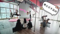 -桃秘钢管舞 Peach Pole Fitness