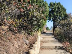 -北京西山国家森林公园