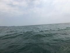 -放鸡岛生态旅游国际度假区