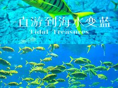 -芜湖新华联大白鲸海洋公园