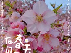 -上海辰山植物园