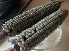 -前小桔亲子创意农场·草莓采摘·露营烧烤