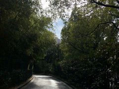 -花溪公园