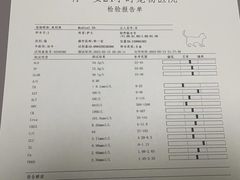 -特一安24小时宠物医院·骨科·中兽医